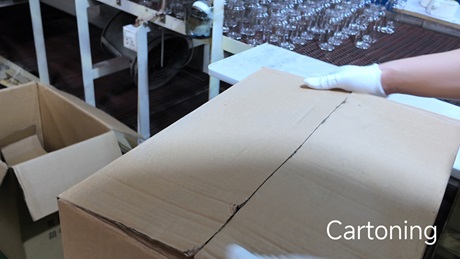 Protective Cartoning